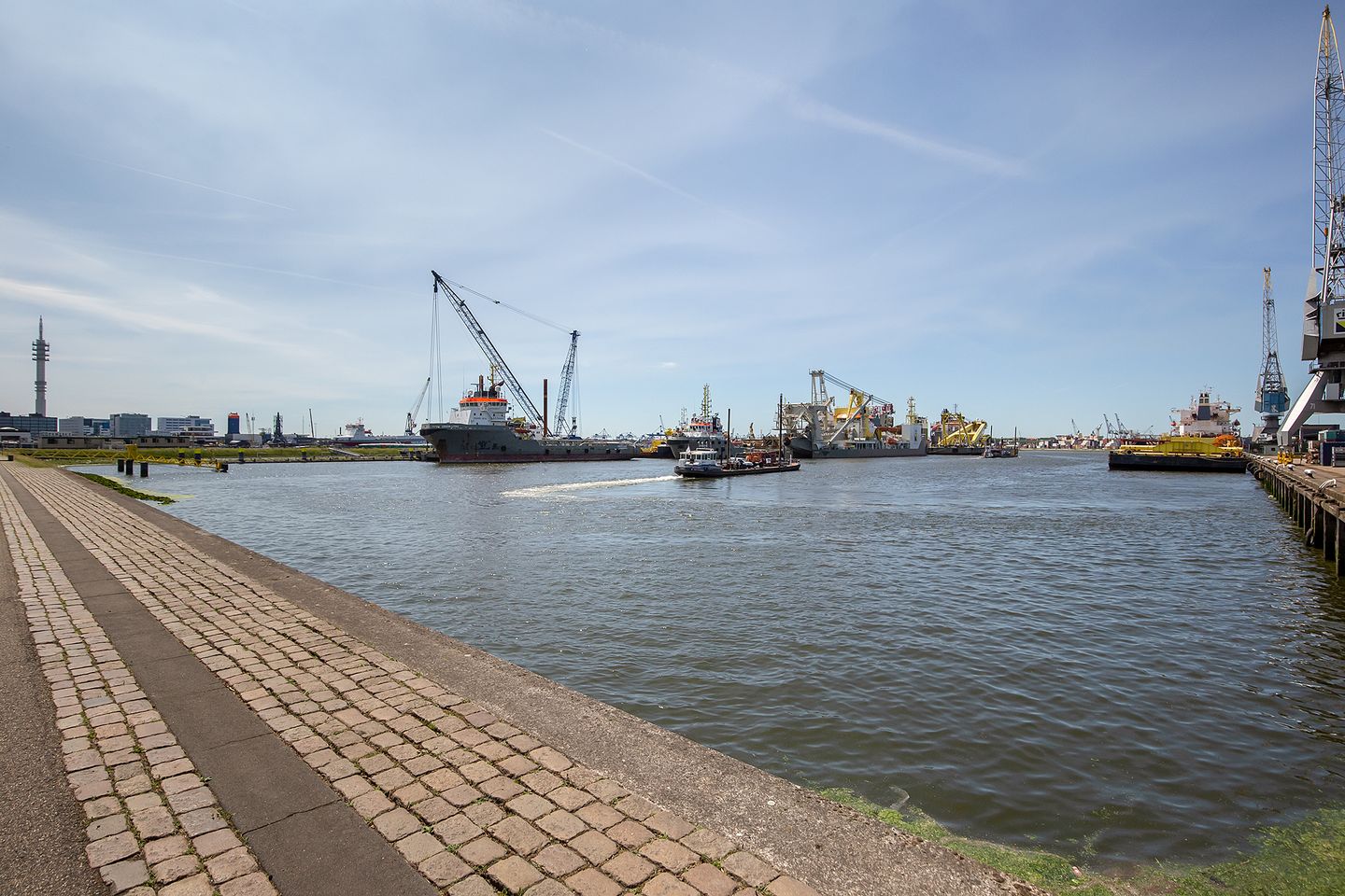 Bekijk foto 4 van Waalhaven O.z. 77