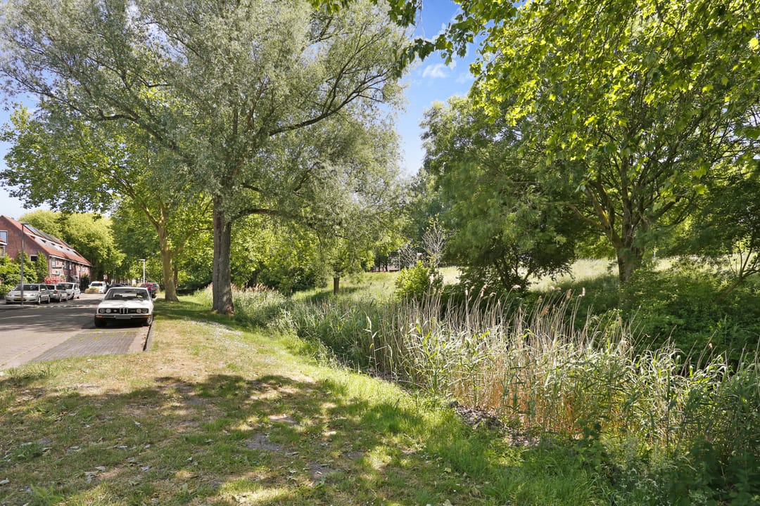 Foto 8 van Bezembinder 33