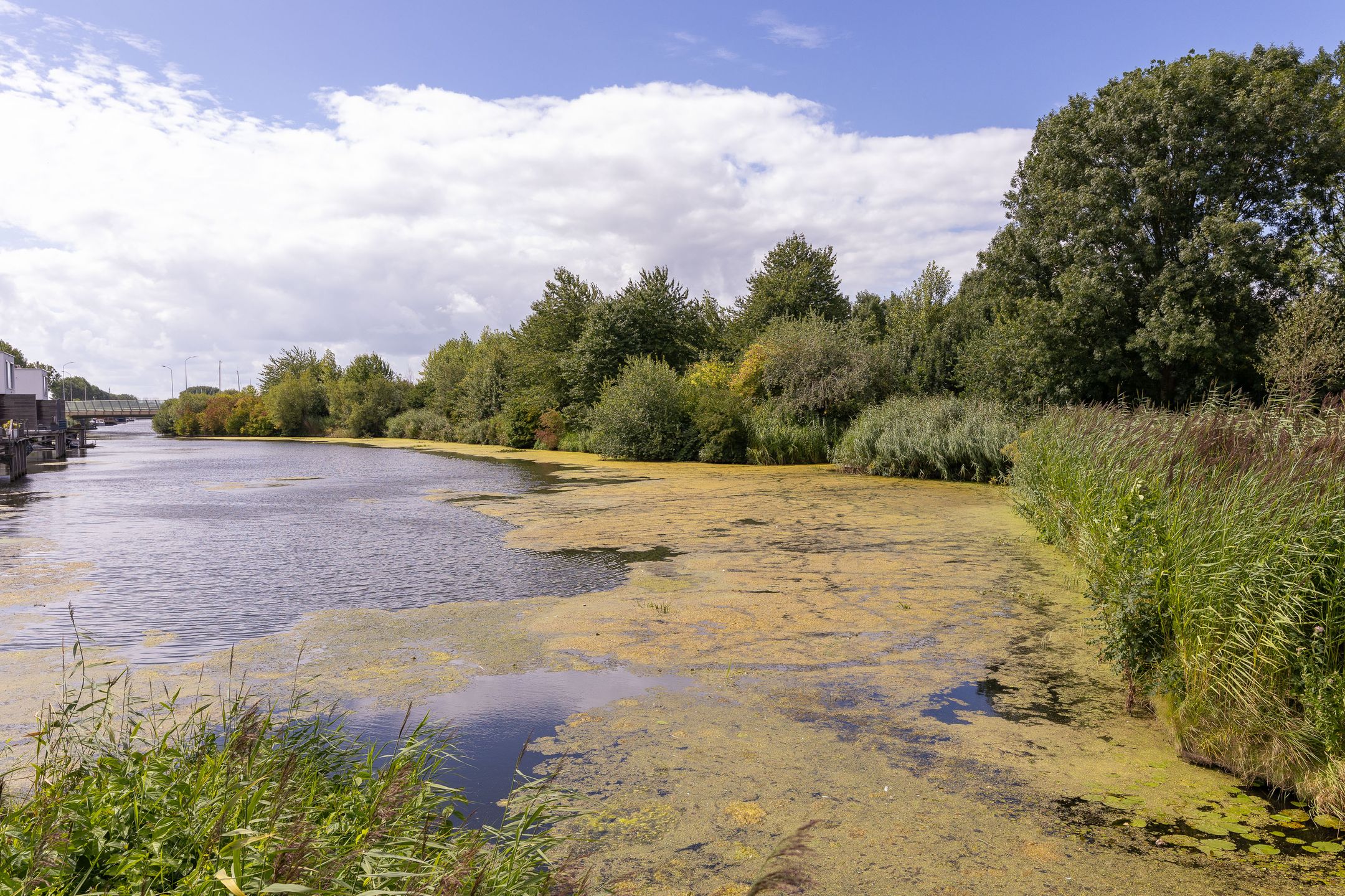 Foto 45 van Waterland 25