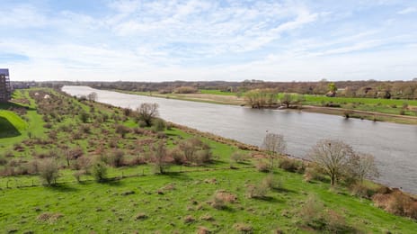 Watermunt 1 tertiary image