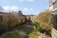 Afbeelding van Ringfazant 21 - Tweede foto