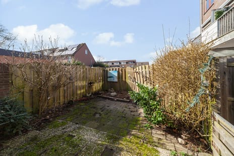 undefined main image