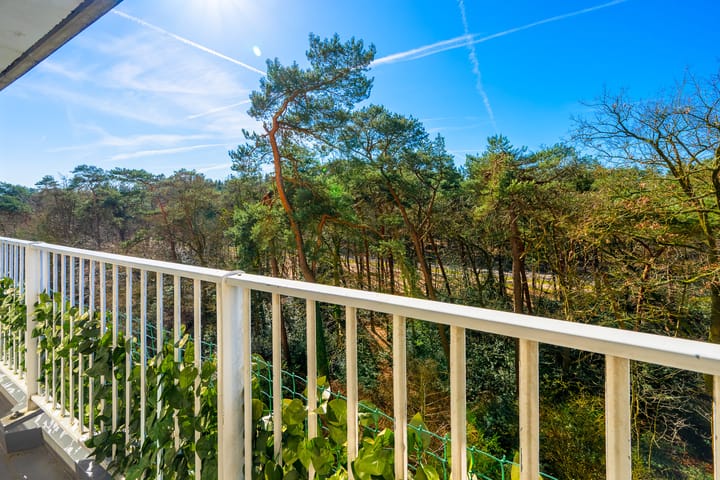 Photo 2 of Anna Paulownalaan 83