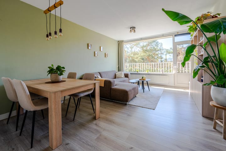 Photo 3 of Anna Paulownalaan 83