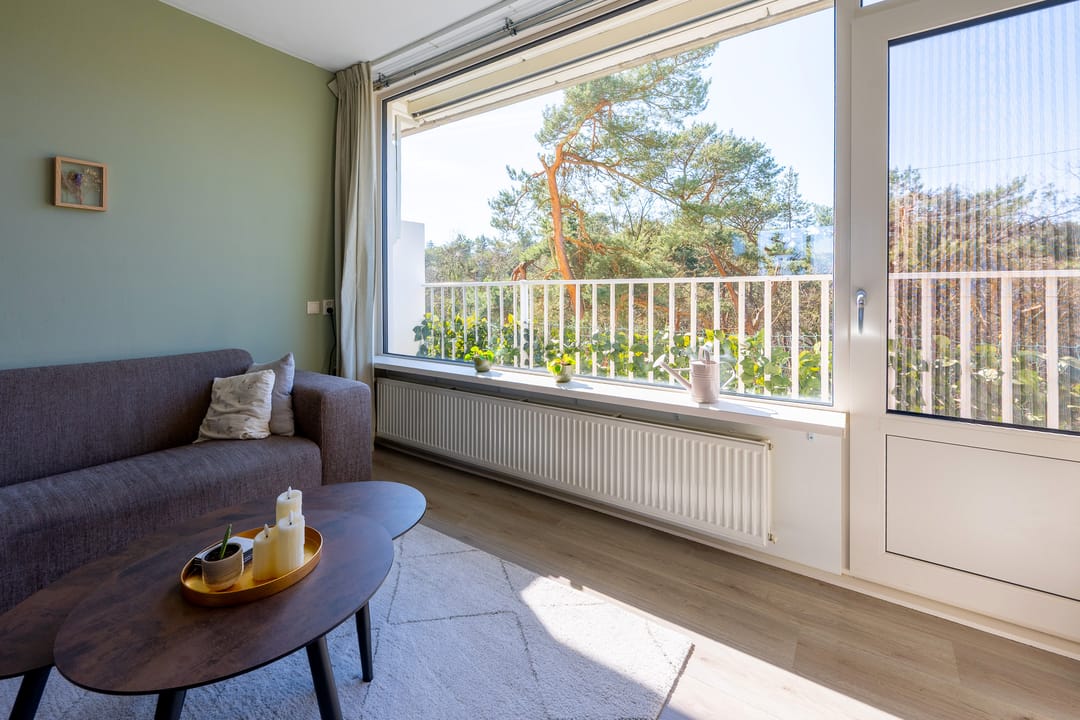 Foto 7 van Anna Paulownalaan 83