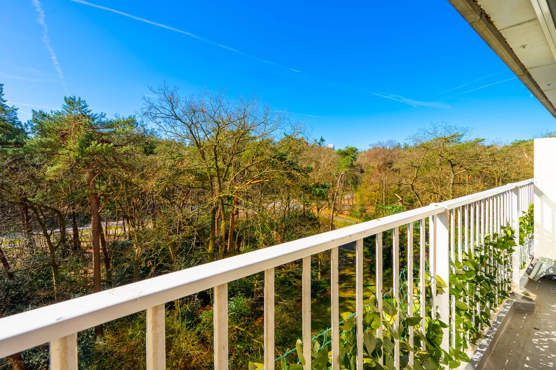 Foto 8 van Anna Paulownalaan 83