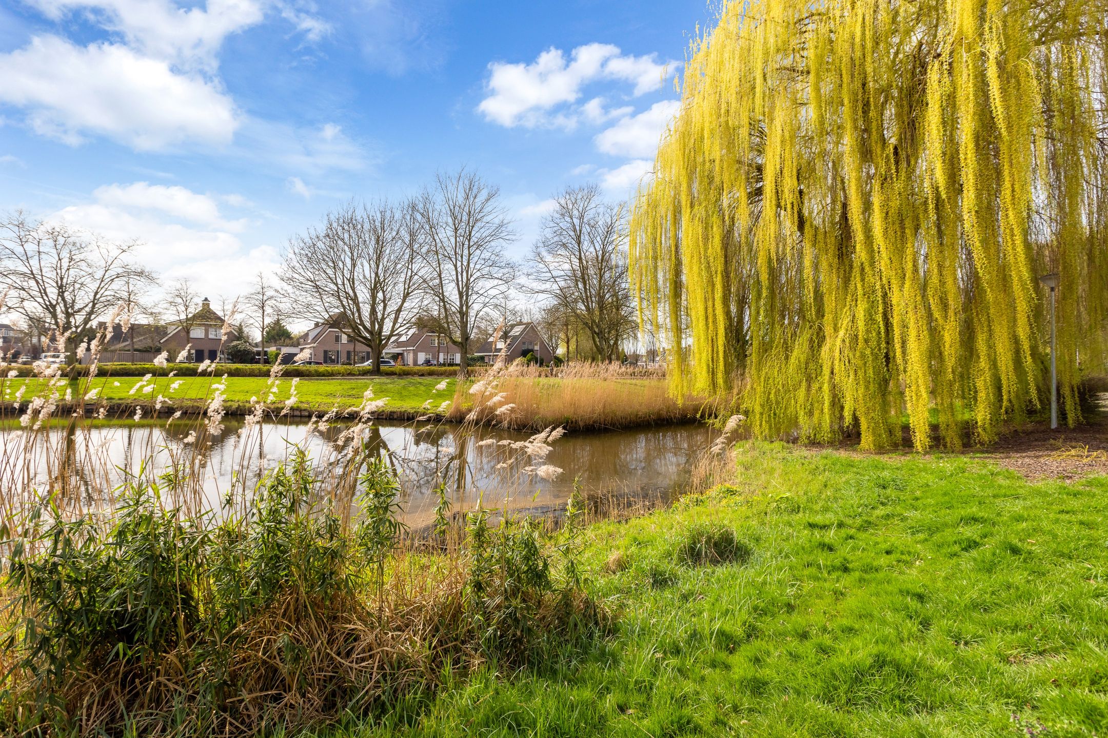 Foto 54 van Grote Waard 9