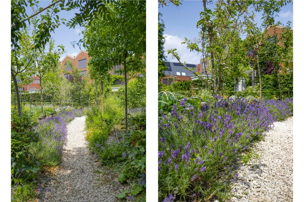 Luxe 6-kamer hoekwoning met 2 terrassen en 2 parkeerplaatsen — 46
