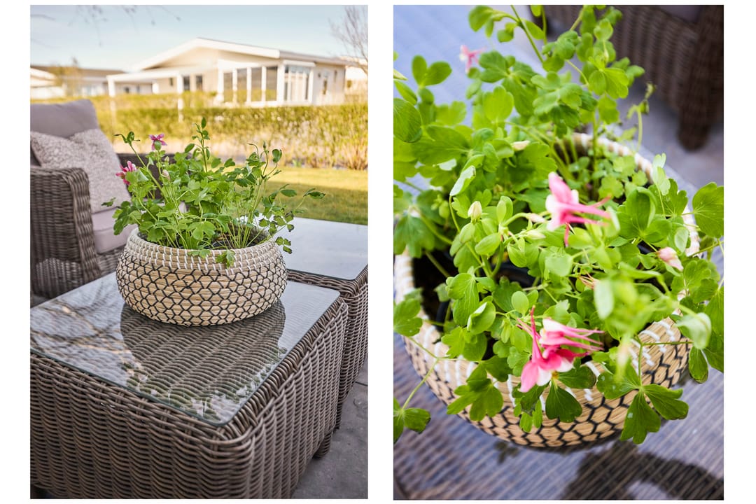 Foto 41 van Kraaierslaan 7-103