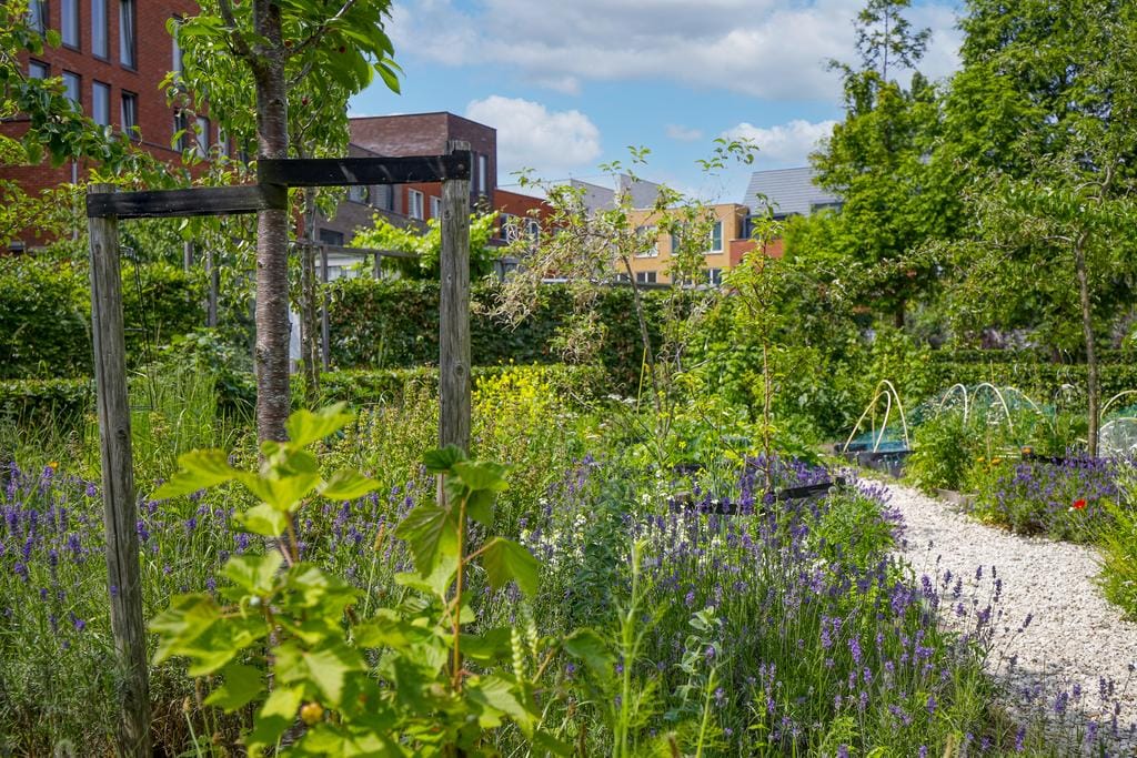 Luxe 6-kamer hoekwoning met 2 terrassen en 2 parkeerplaatsen — 45
