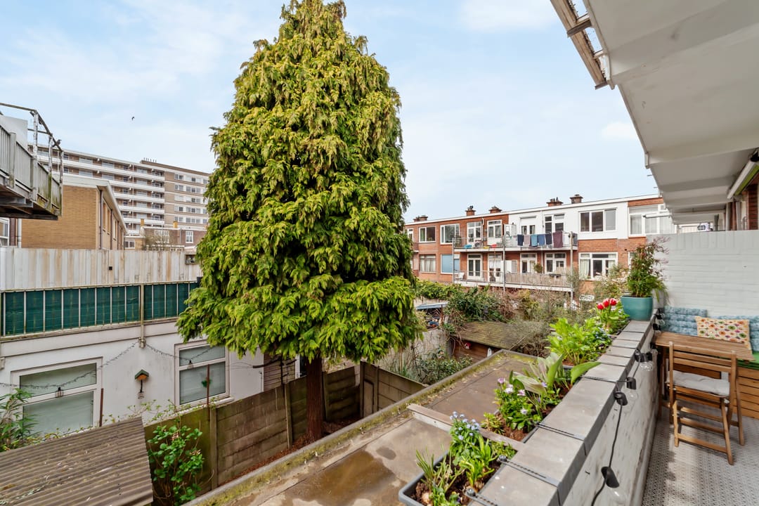 Photo 11 of Oude Boomgaardstraat 14