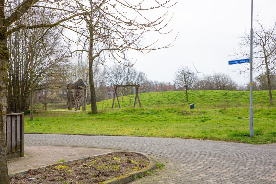 Foto 47 van Sleedoornstraat 64