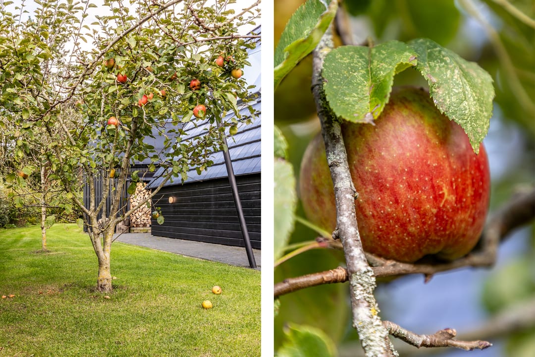 Foto 28 van Sportlaan 3-B