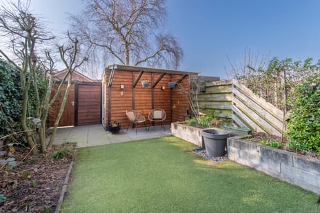 Baardgras 36 secondary image