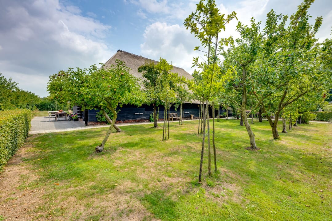 Foto 38 van Zanddreef 41-A