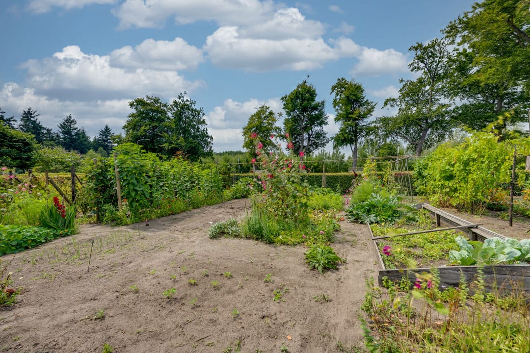 Foto 41 van Zanddreef 41-A