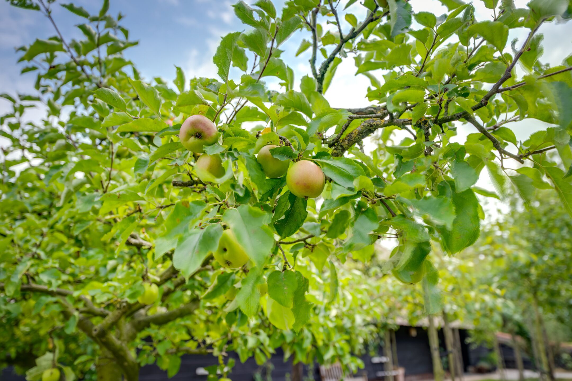 Foto 45 van Zanddreef 41-A