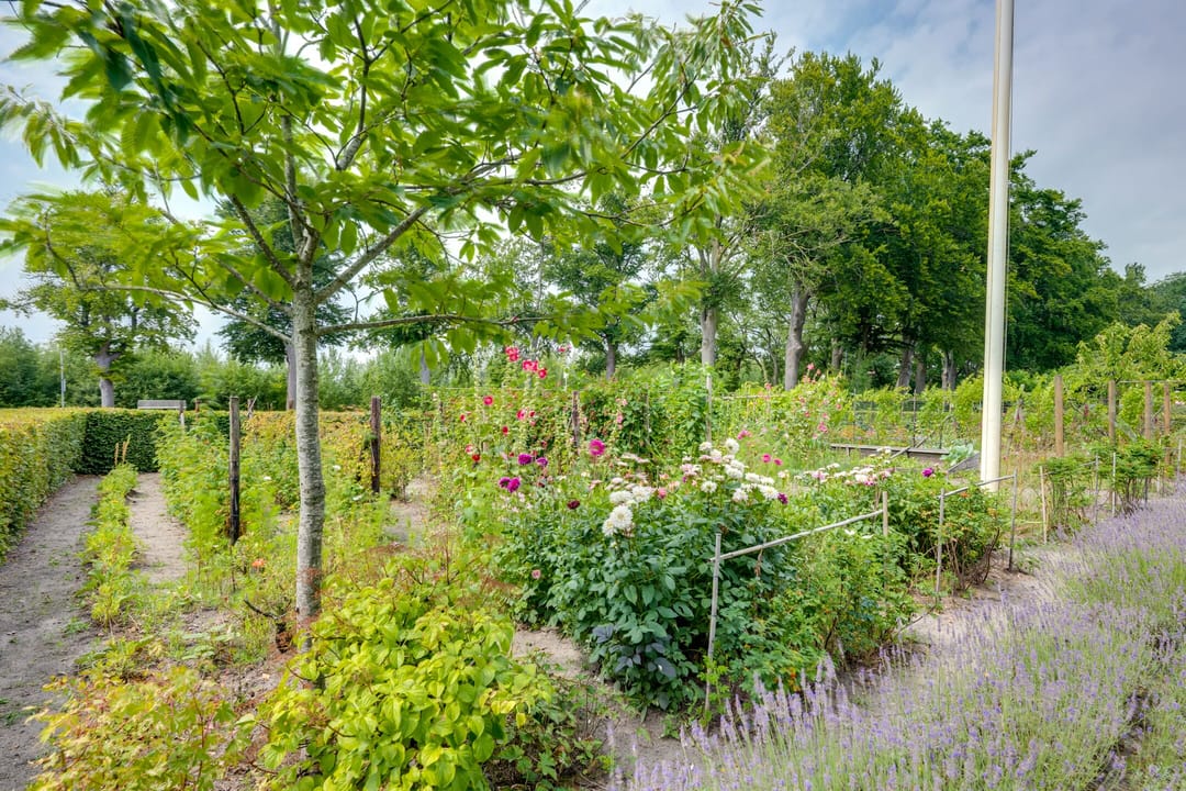 Foto 47 van Zanddreef 41-A