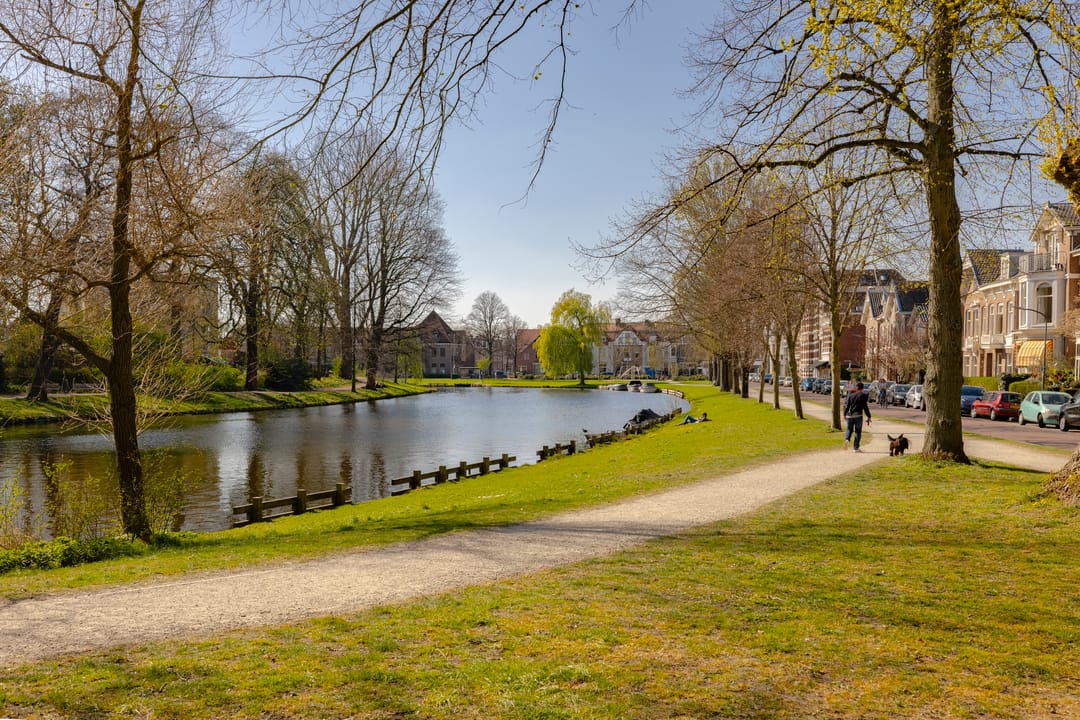 Foto 41 van Vroomstraat 9