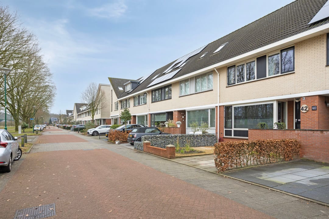 Photo 38 of Kantmos 42