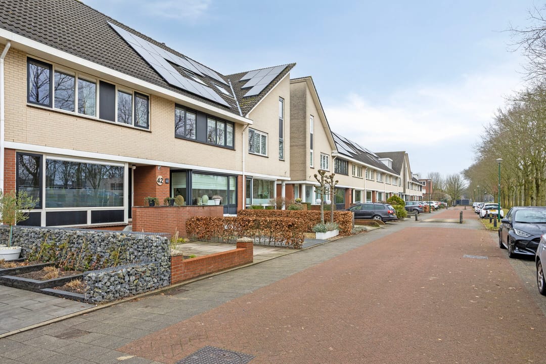 Photo 41 of Kantmos 42