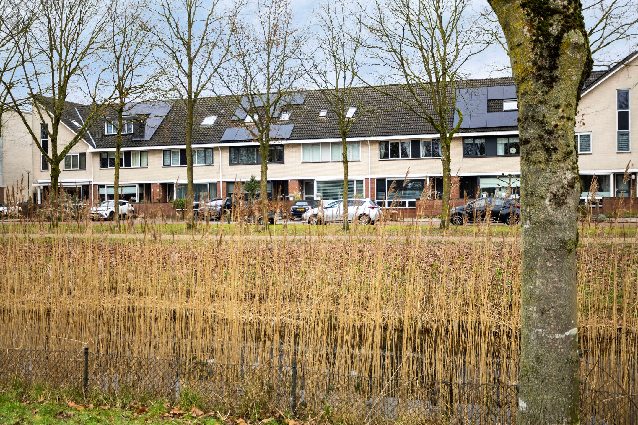 Photo 42 of Kantmos 42