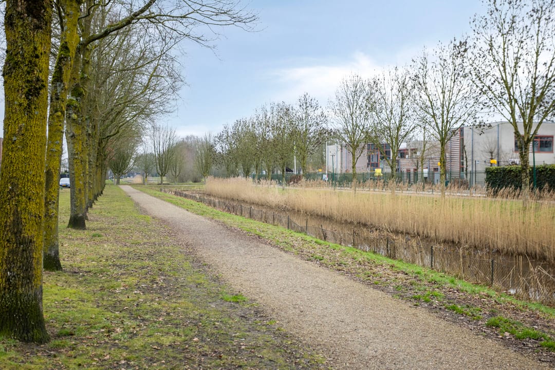 Photo 46 of Kantmos 42