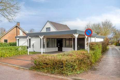 Pals 5 tertiary image