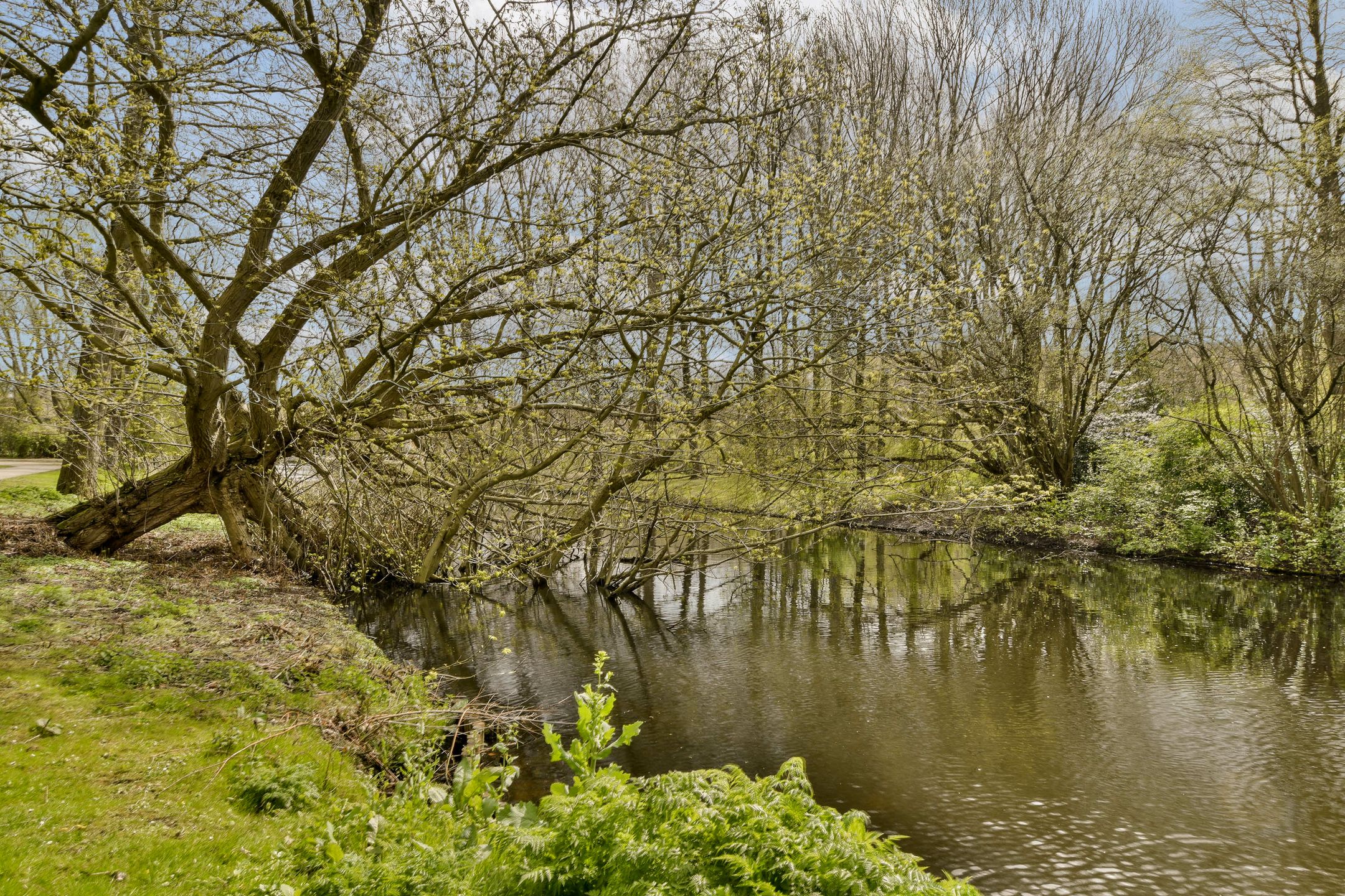 Foto 21 van Kiefskamp 15