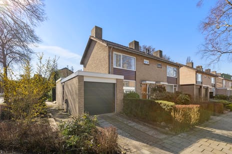 undefined main image