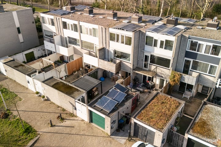 Groenoord 50 main image