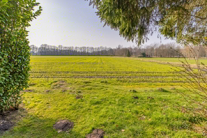 Foto 3 van Lammerweg 3