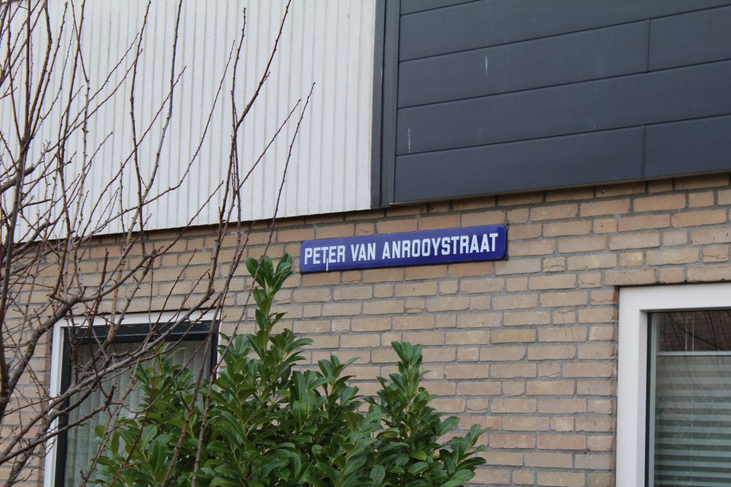 Foto 10 van Peter van Anrooystraat 23