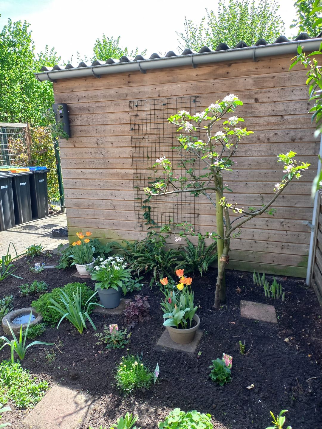 Photo 26 of Evenaar 8
