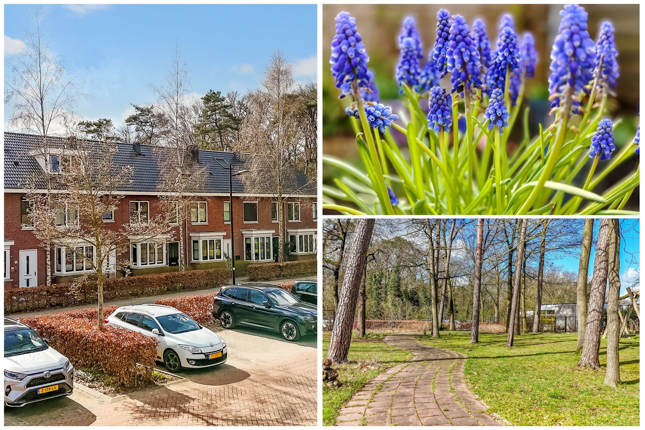 Photo 30 of Evenaar 8
