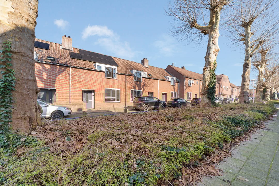 Foto 2 van Borneostraat 65