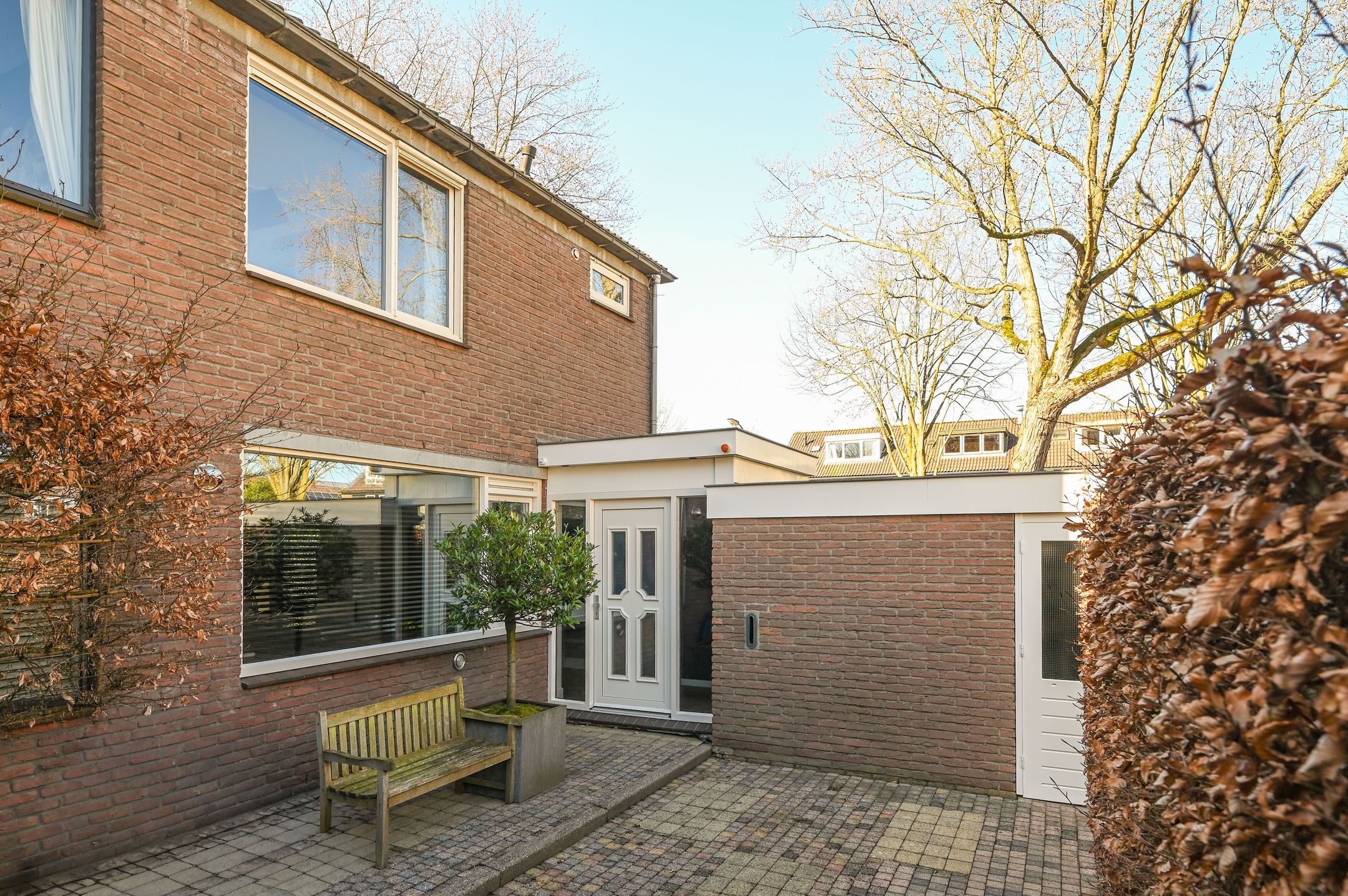 Foto 3 van Scholekster 95