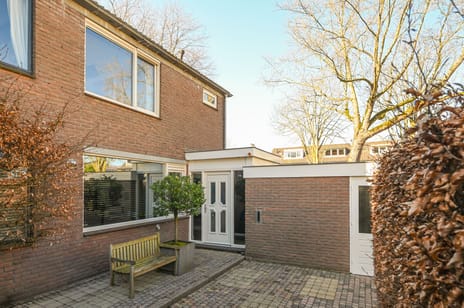 Scholekster 95 tertiary image