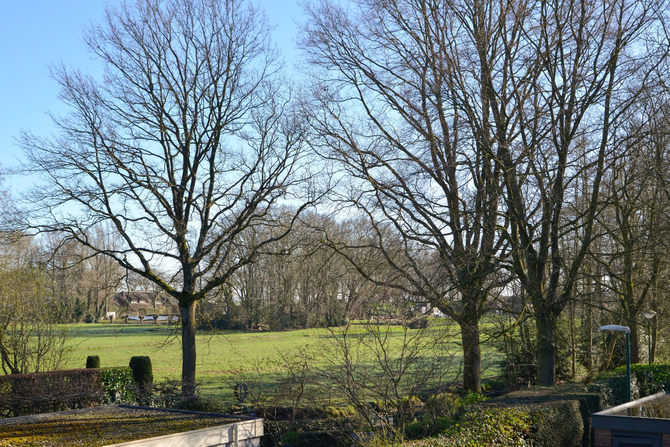 Foto 33 van Scholekster 95