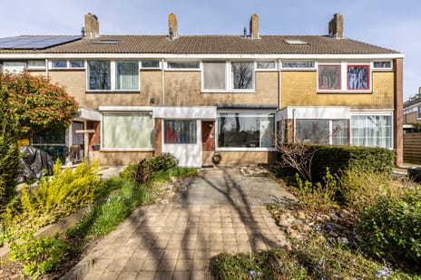 undefined main image