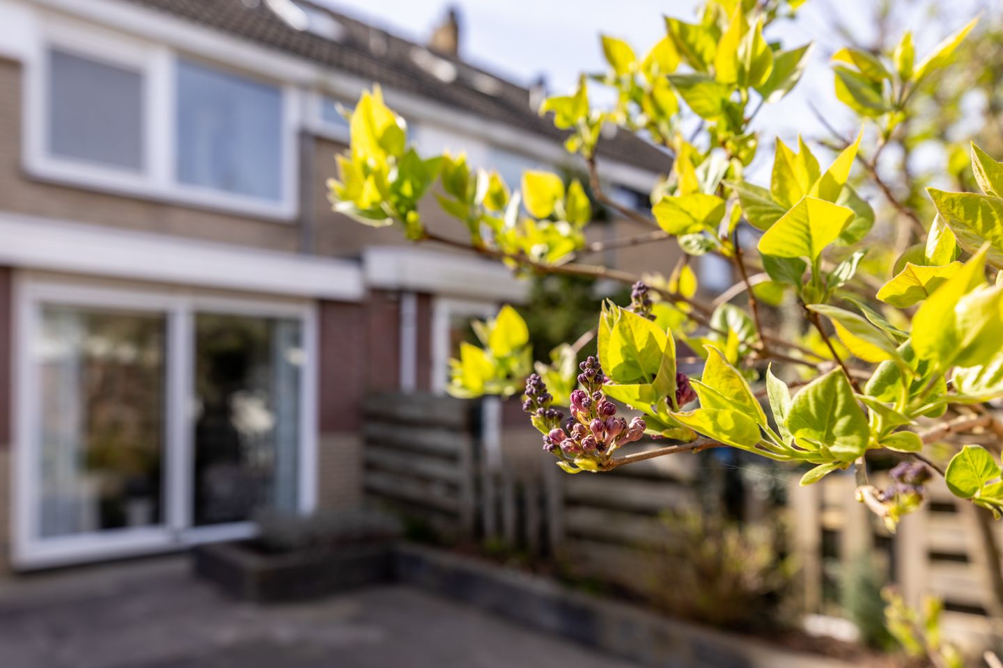 Foto 35 van Sterrenlaan 59