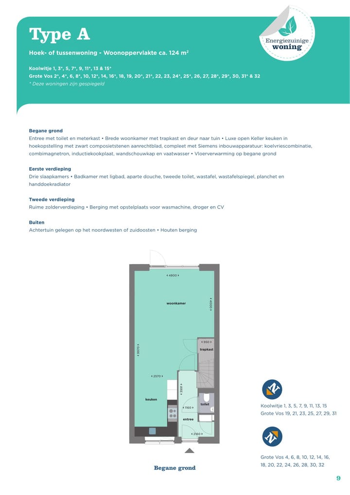 Foto 2 van Grote vos 11