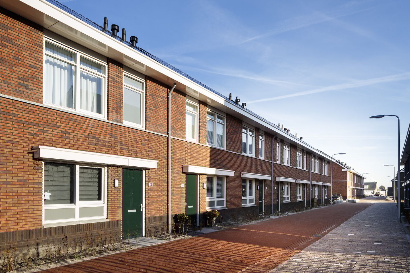 Foto 4 van Grote vos 11