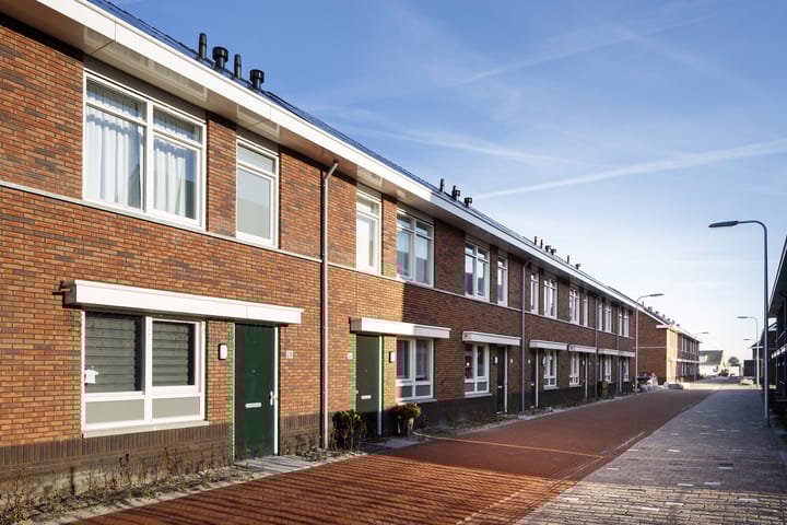 Foto 4 van Grote vos 11