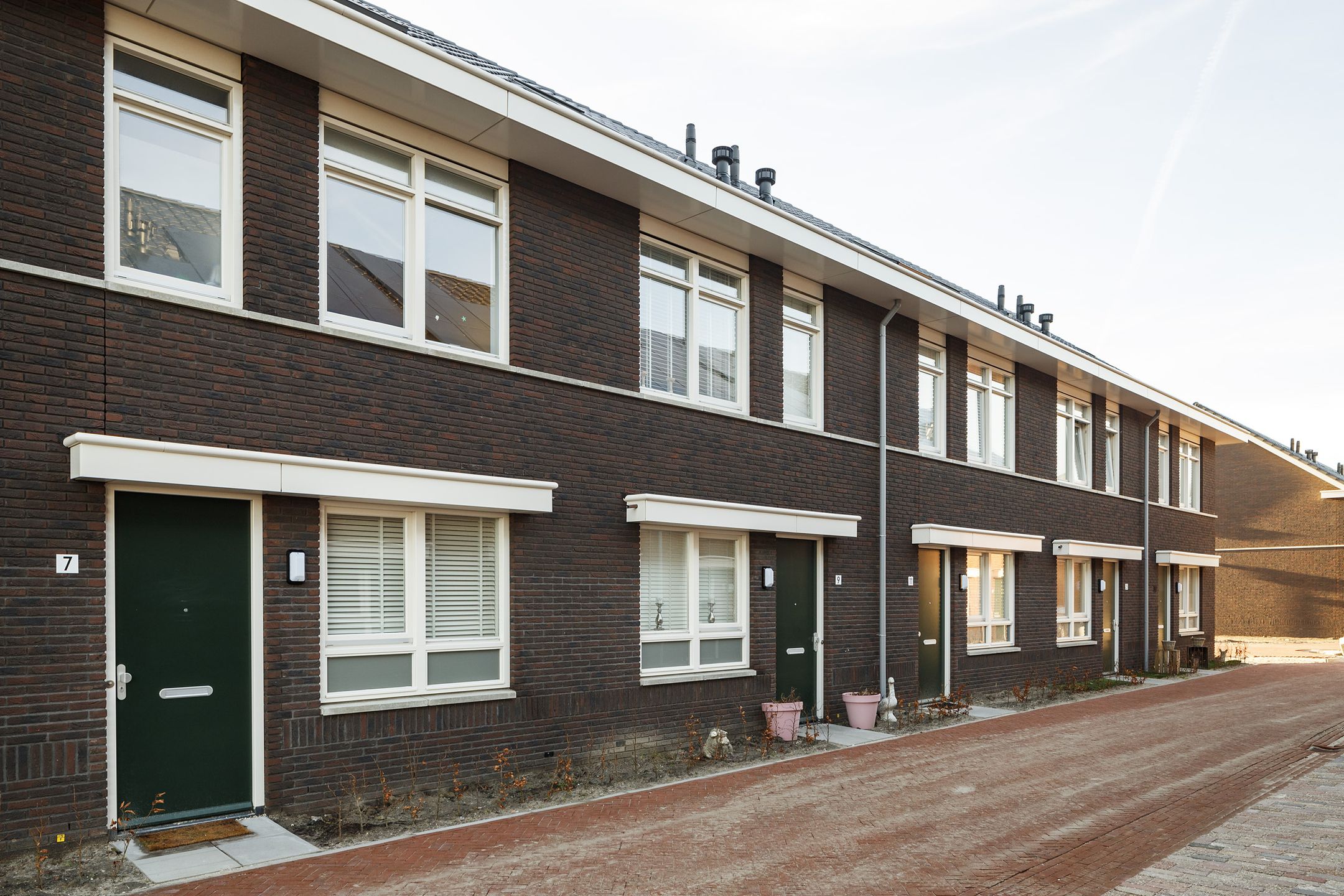 Foto 6 van Grote vos 11