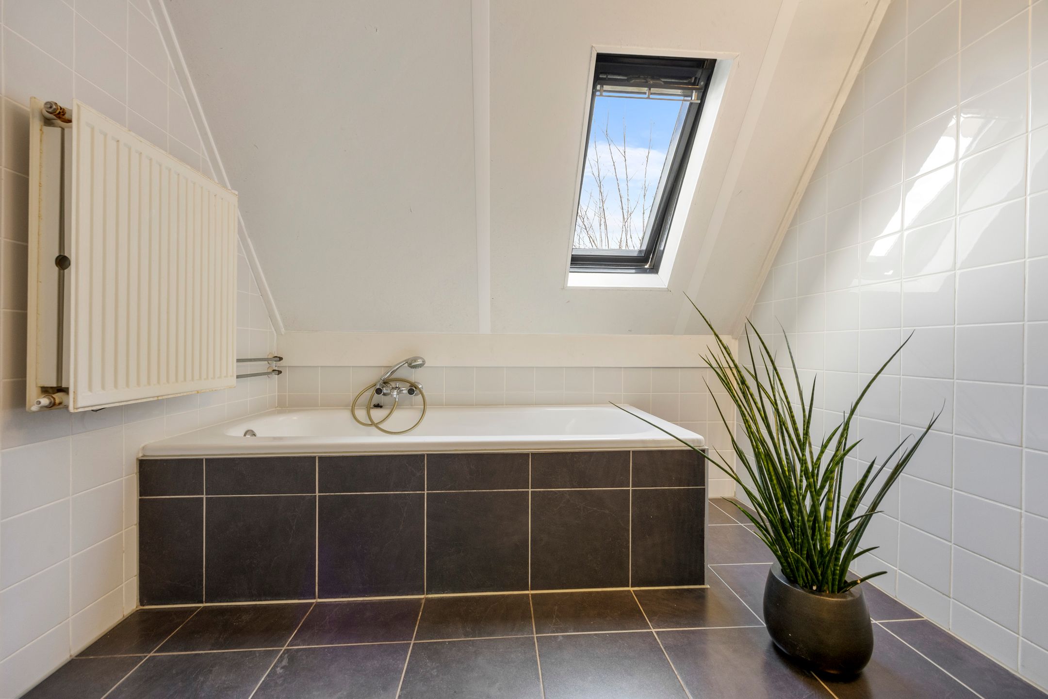 Foto 21 van Molenpark 39