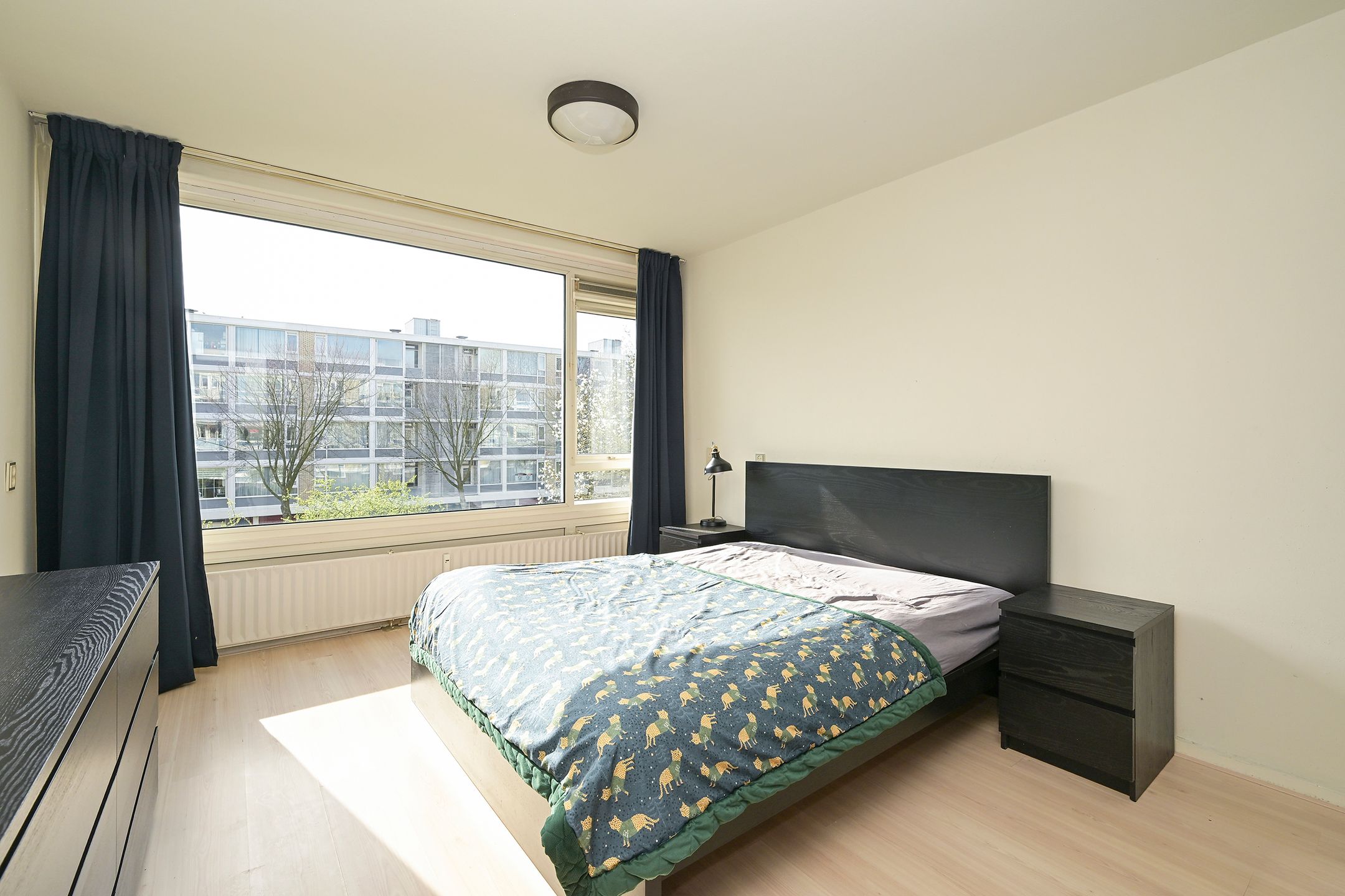 Foto 3 van Schout Van Eijklaan 147