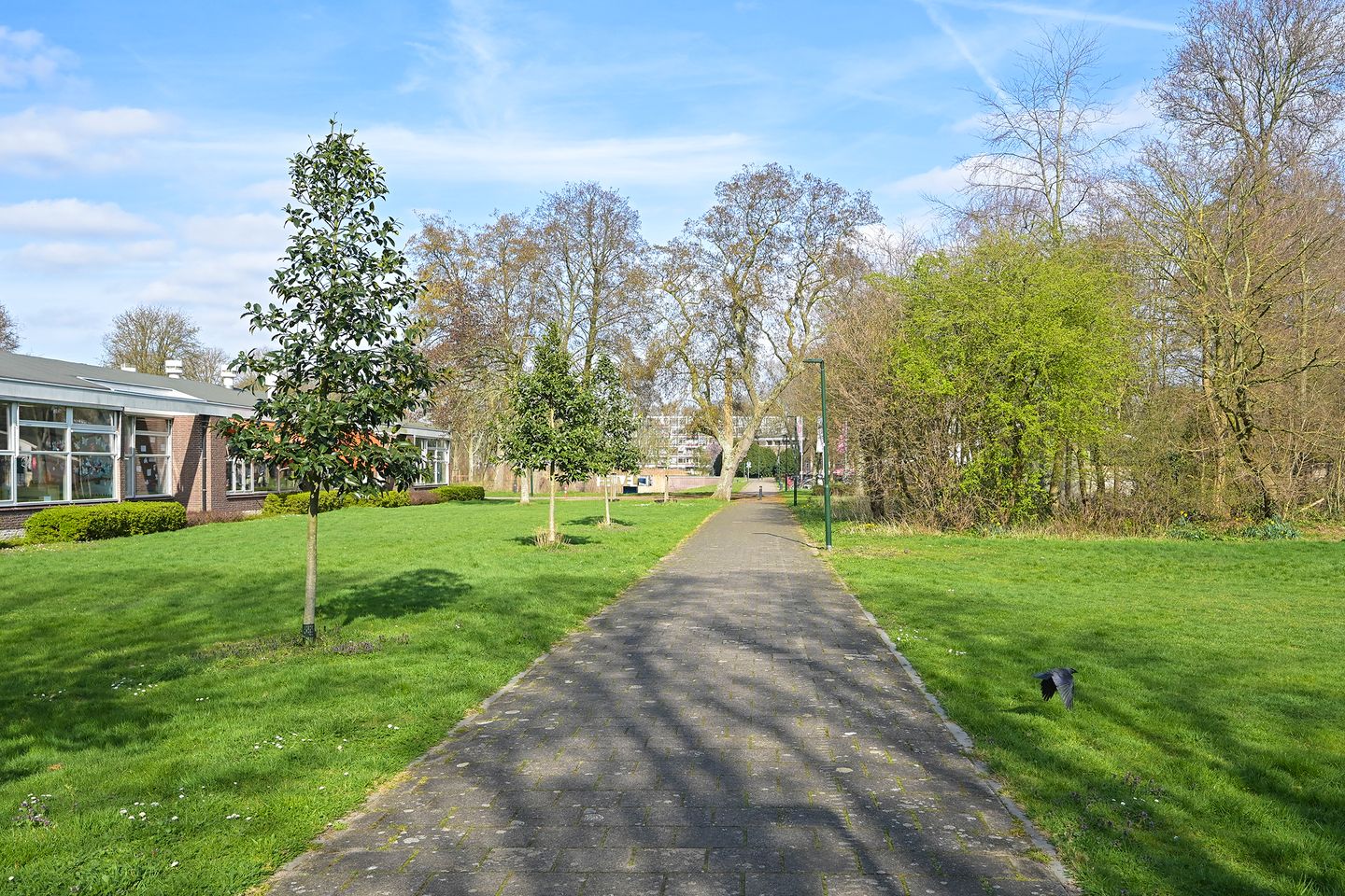 Foto 34 van Schout Van Eijklaan 147