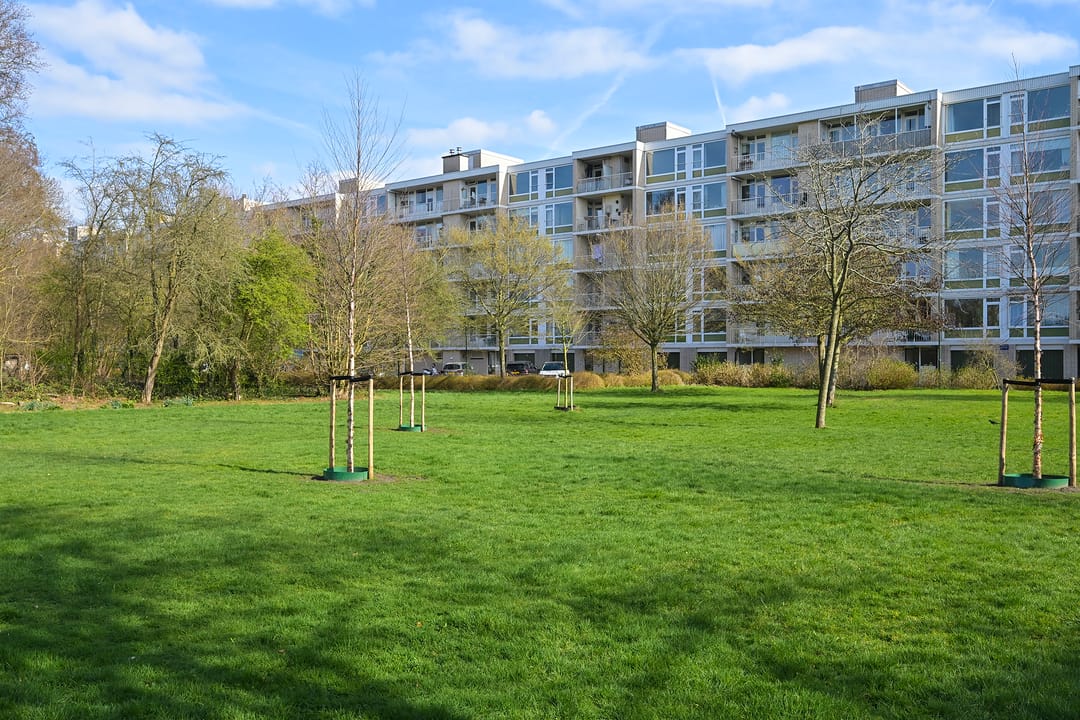 Foto 32 van Schout Van Eijklaan 147