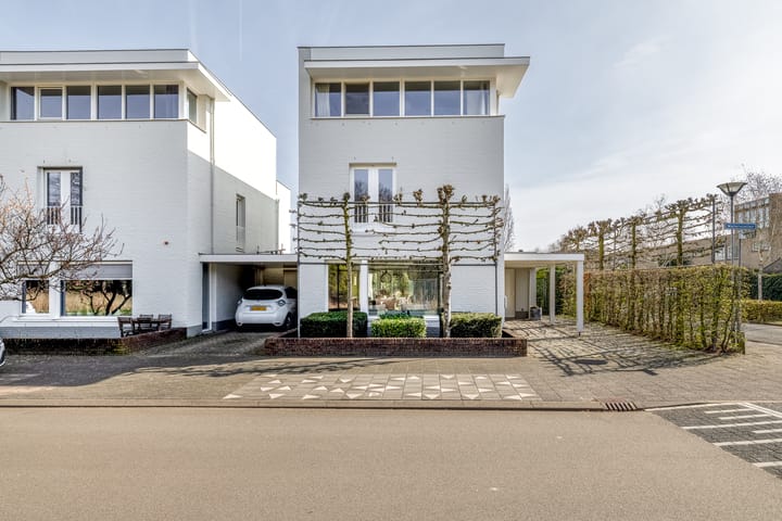 Waterviolier 216 main image